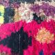 Tapis boucherouite 100x155cm
