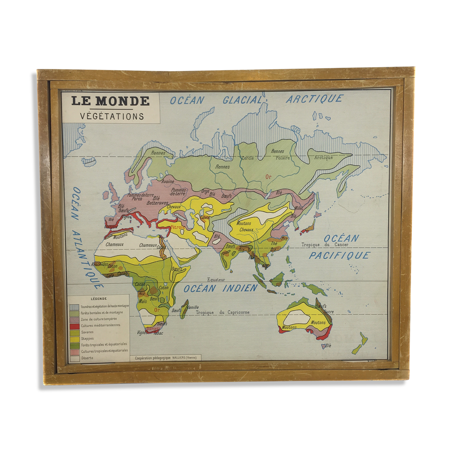 Worldwide geographic school poster double sided
