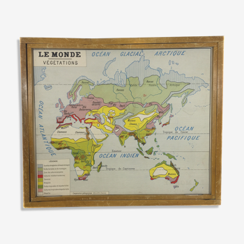 Worldwide geographic school poster double sided