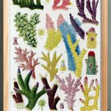 Poster about colored corals, based on an old lithograph from 1893