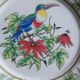 Japanese Tao Mei Toucan Plate