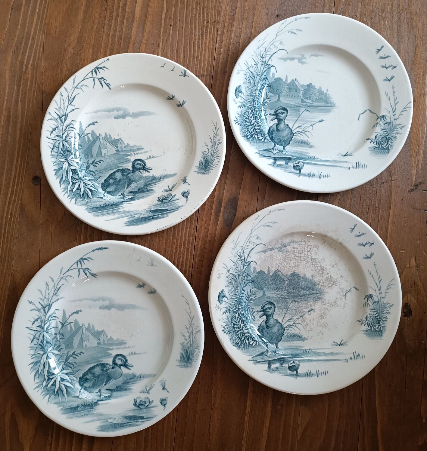 4 plates iron earth Gien model Ducks