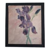 Old watercolor - iris
