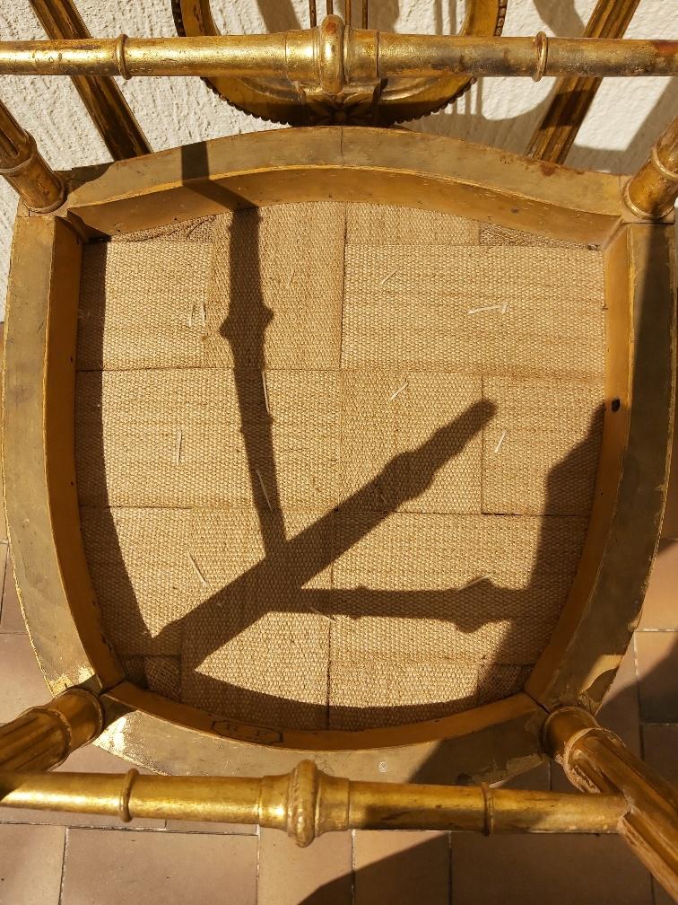 Pair of chairs with a golden lyre