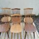 Set 6 chaises bistrot/western Baumann Tacoma en 2 teintes