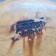 Olive wood dish Jean Paul Bain Vallauris