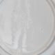 Pair of Castellania plates from Italy with blue fish decoration.