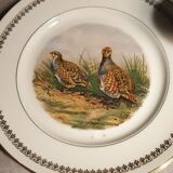Game plates pl france