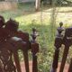 Antique chairs in the Henri II style