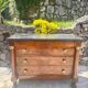 Commode empire retour D’Égypte en Acajou Flammé Époque XIX eme siècle