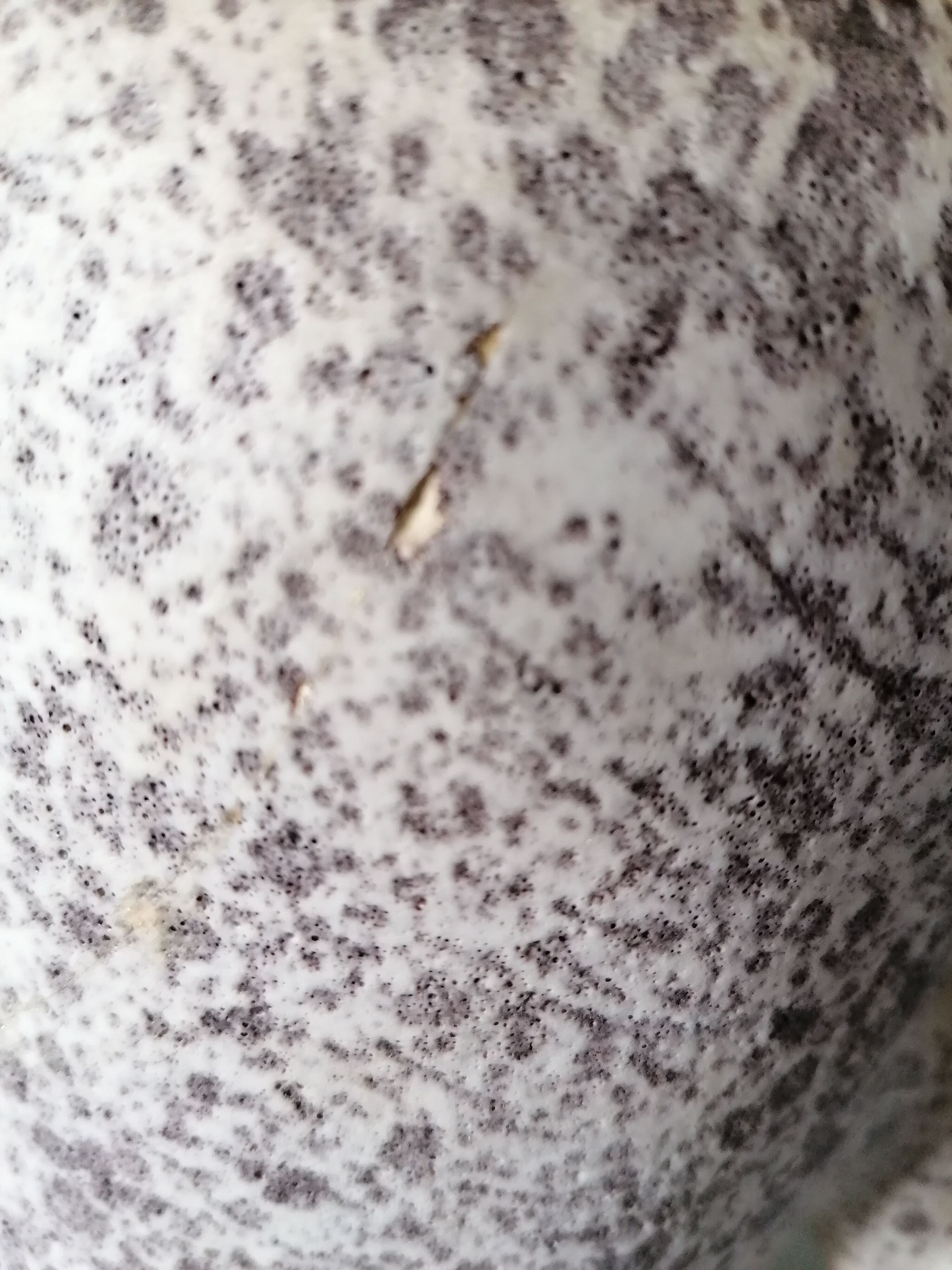 Vase vintage Vallauris signé