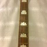guitar Suzuki j200
