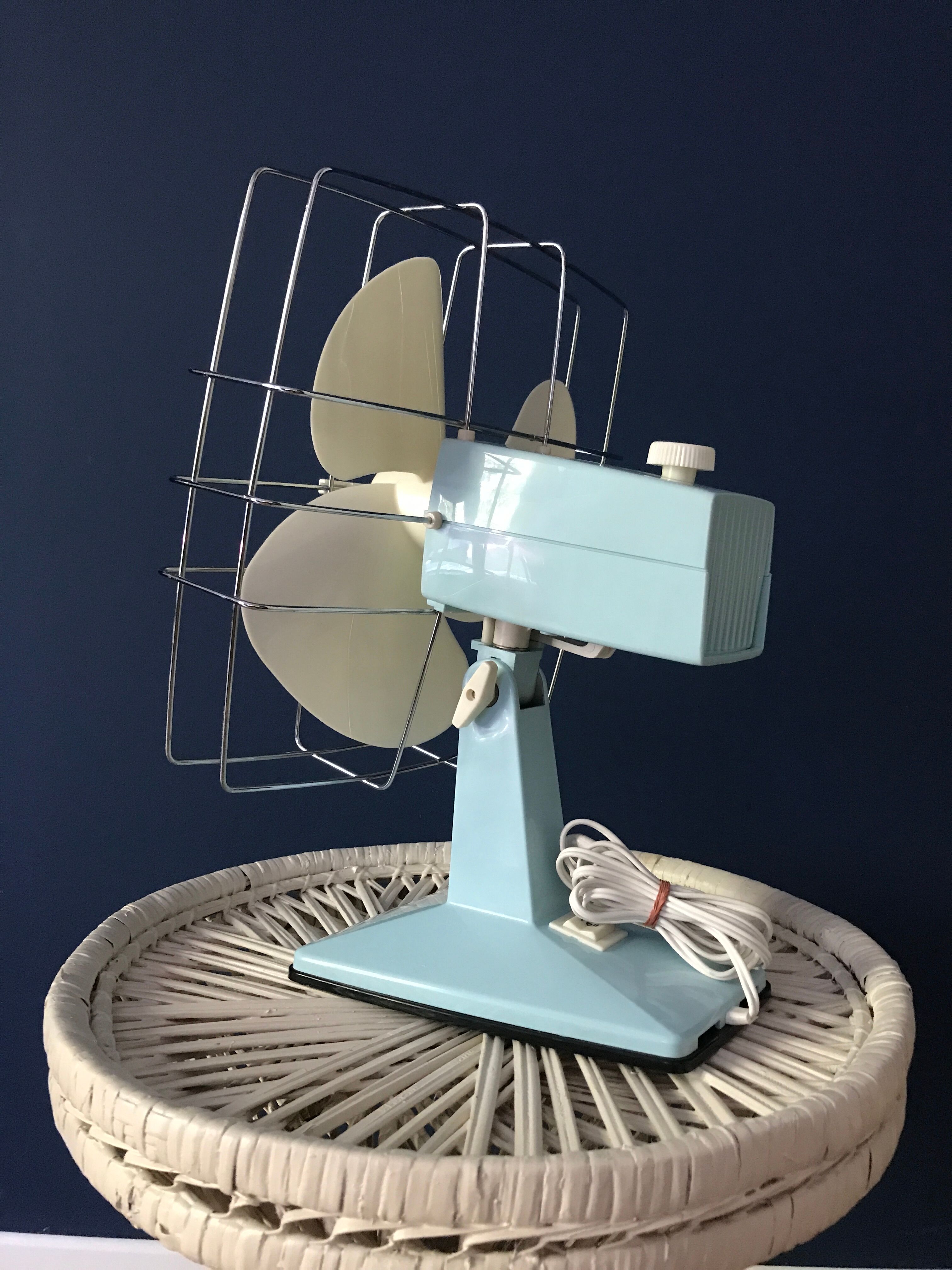 Vintage calor tilting fan mint