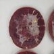 6 Morvan oval flat plates