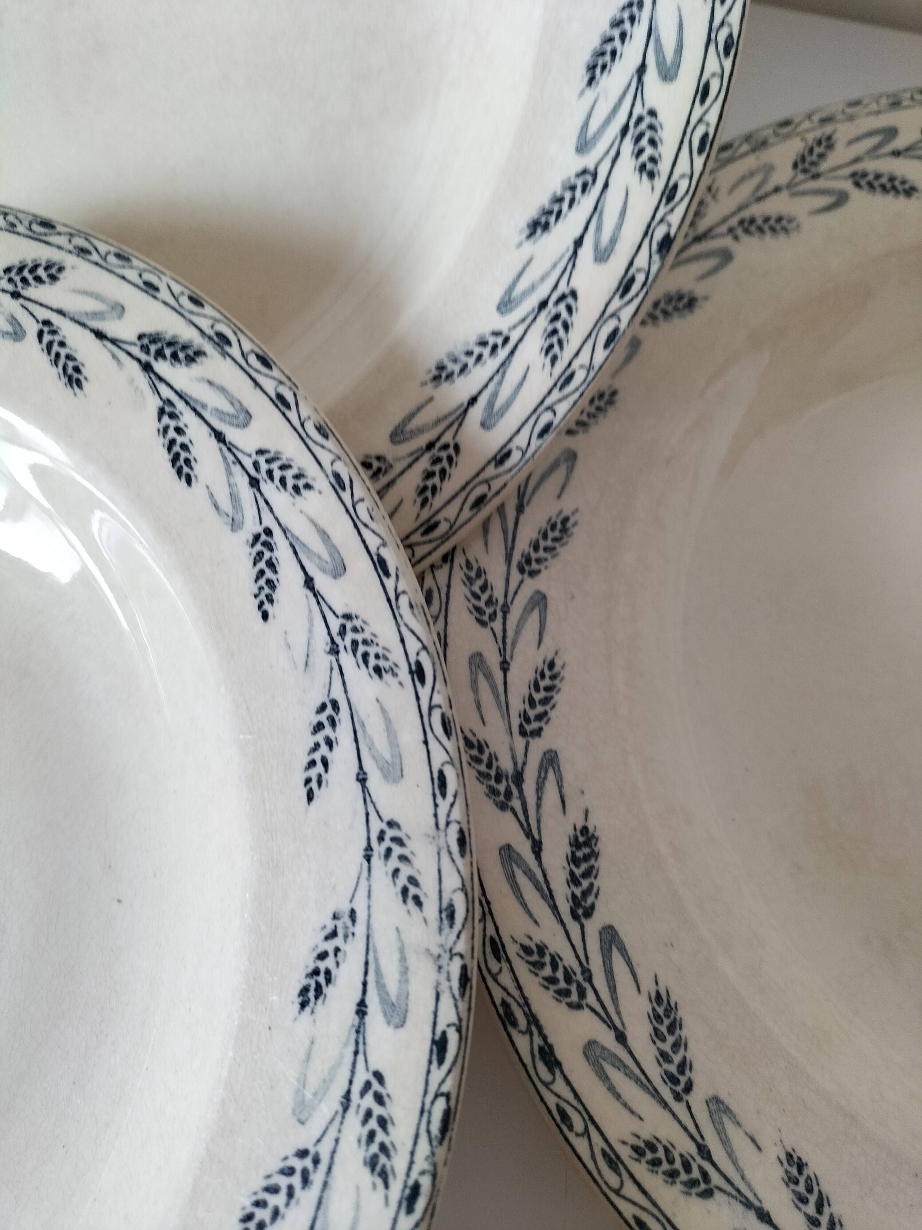 6 old E.C. Salins “Les Épis” ironstone soup plates