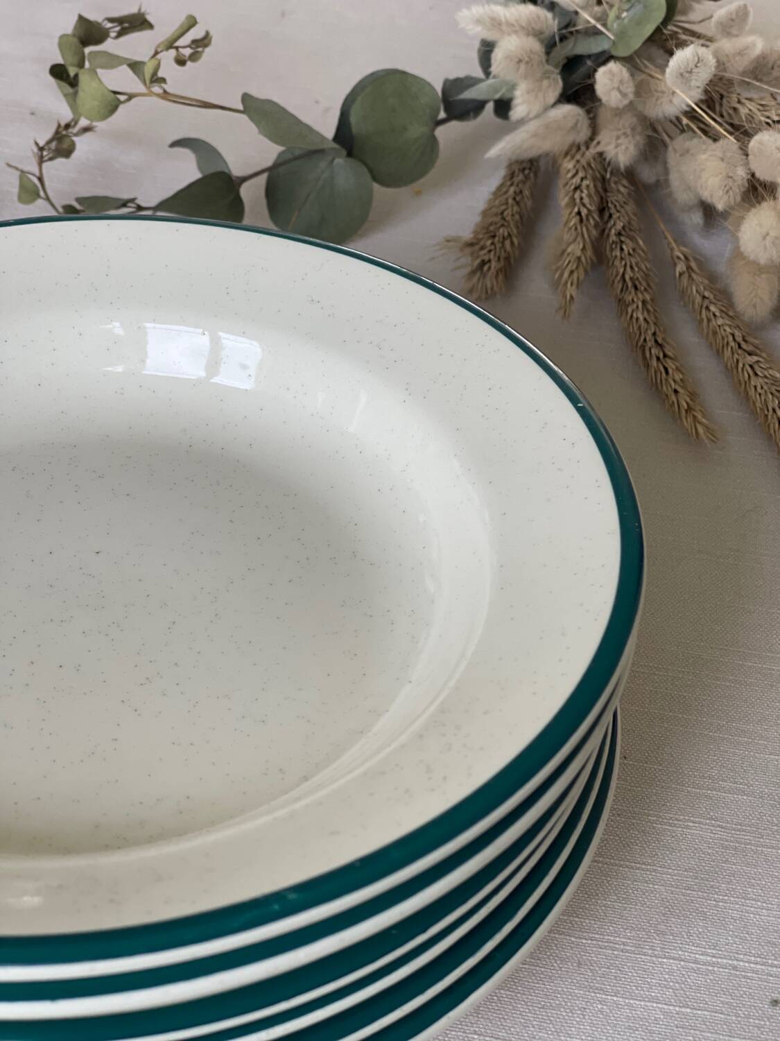 6 earthenware soup plates