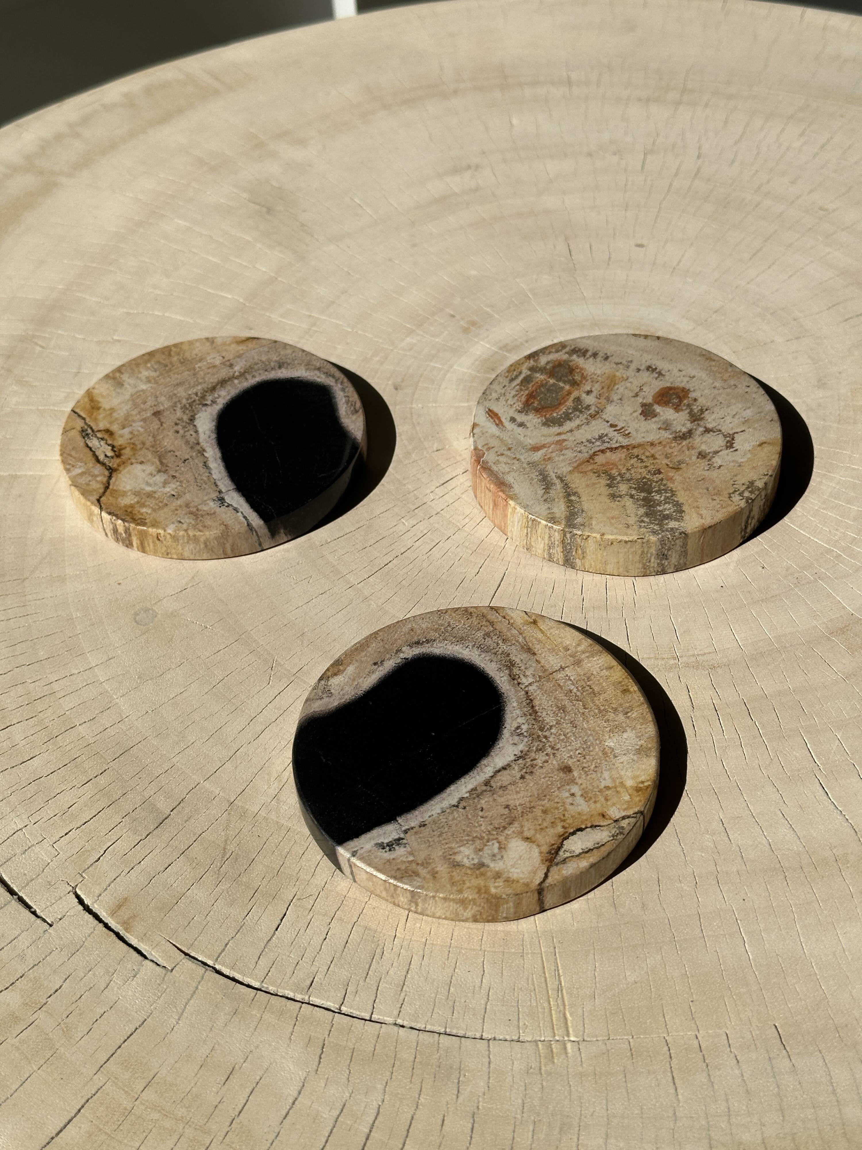 Set of 3 fossilized wood coasters (clear)