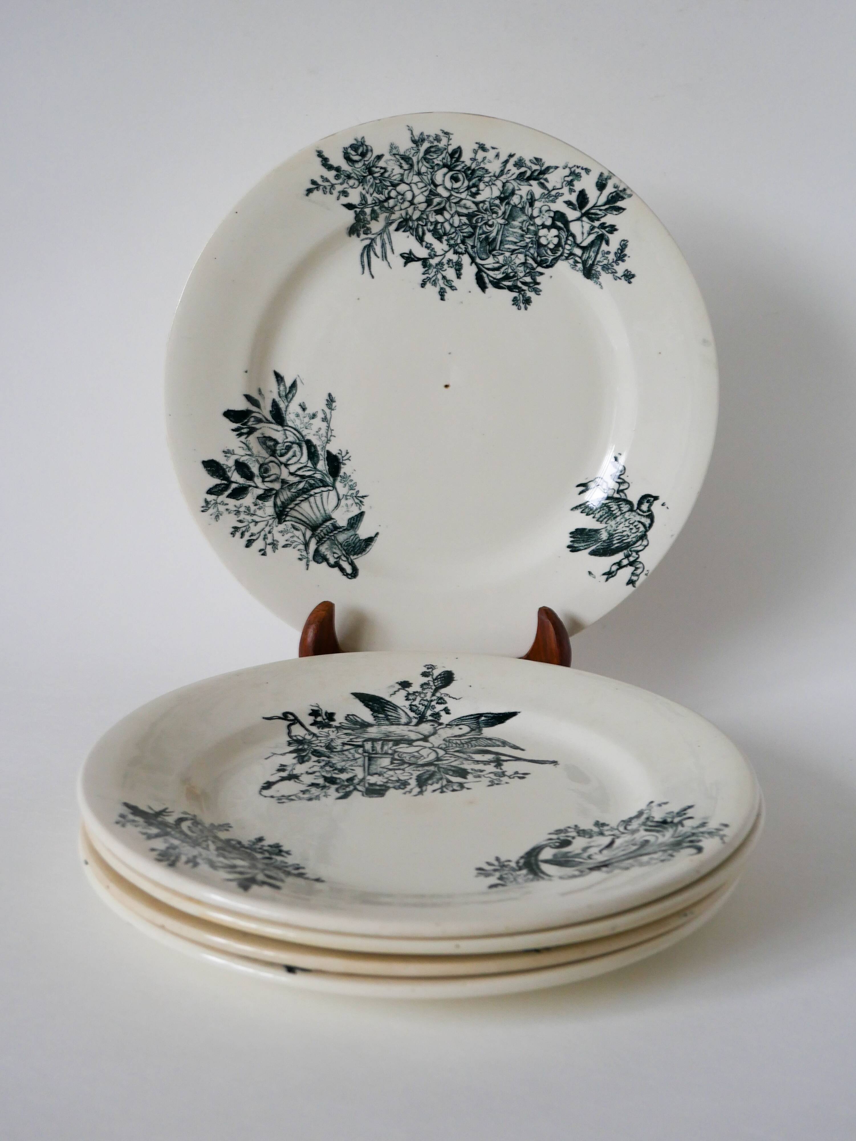 Set of 5 flat plates in terre de fer salins 19th century