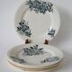 Set of 5 flat plates in terre de fer salins 19th century