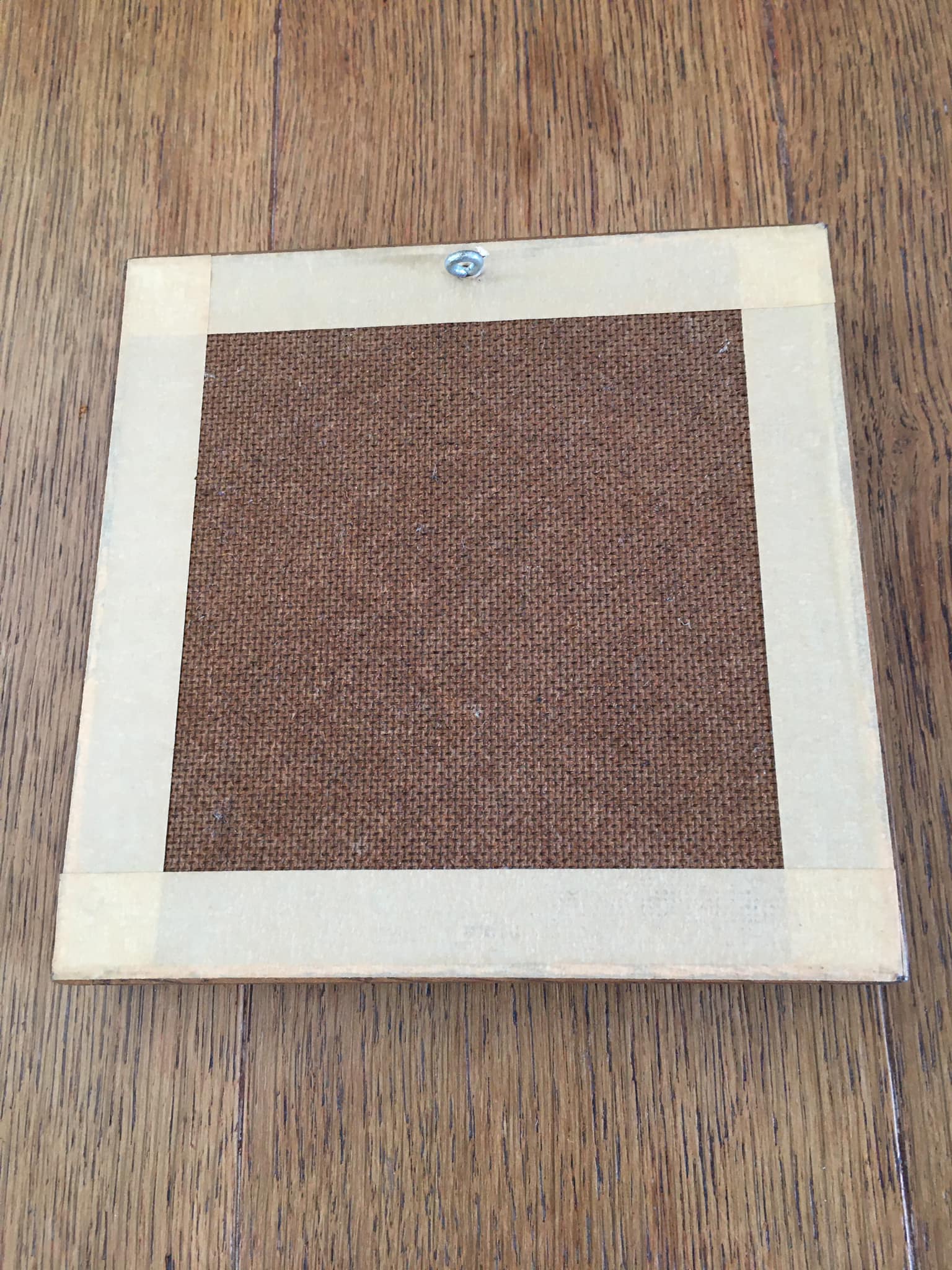 Butterfly frame "Urania Ripheus Madagascar"