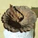 Antique Lamp Light Fixture Ceiling Light Clichy Glass