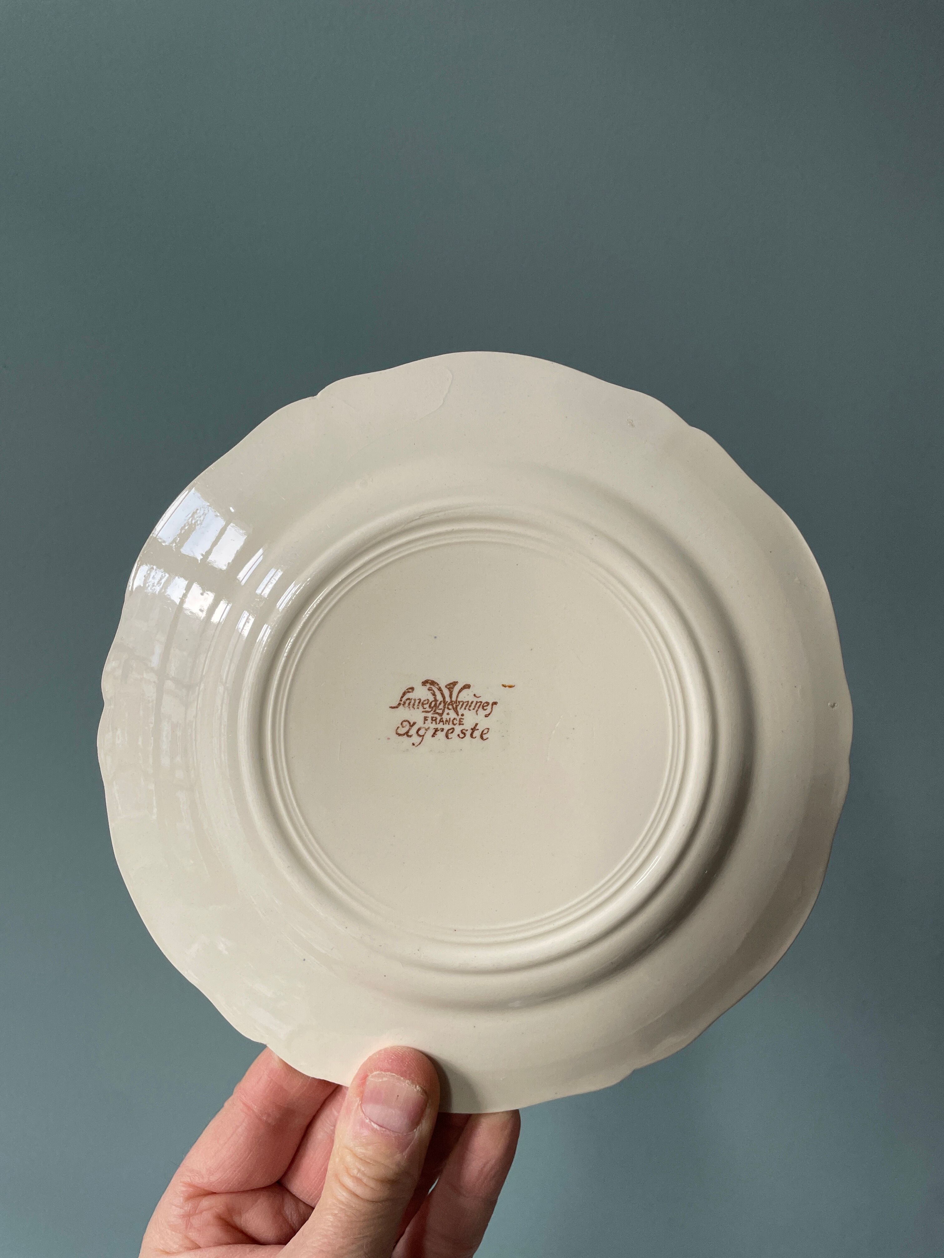Set of 12 dessert plates Agreste Digoin Sarreguemines