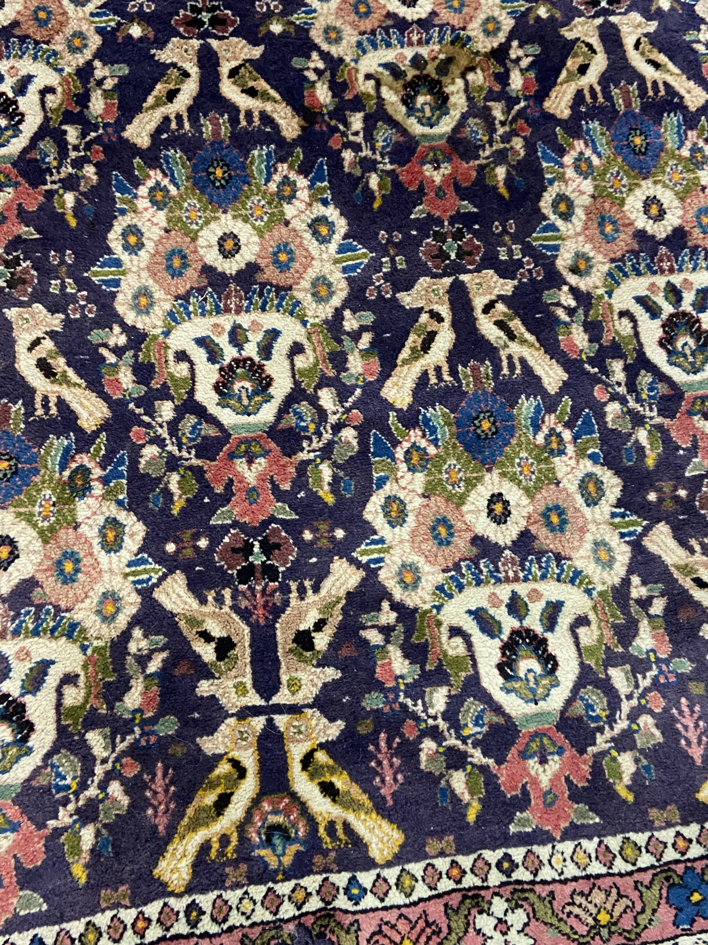 Antique Oriental rug from a nomadic tribe, 1950-1980, birds on a purple background