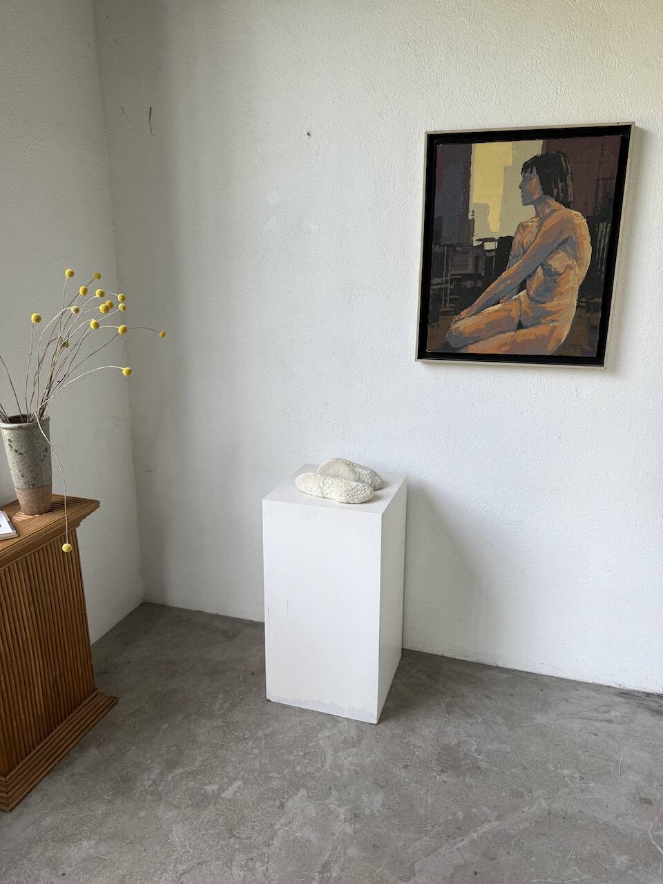 Pair of Fungia "shark cushion" corals