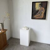 Pair of Fungia "shark cushion" corals