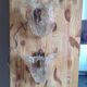 Pair of vintage Murano glass sconces, 70s