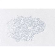 Drawing 21X29.7 made and signed by the Italian artist Maria Chiara Re. 2022.