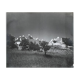 Old black and white silver photography early twentieth century