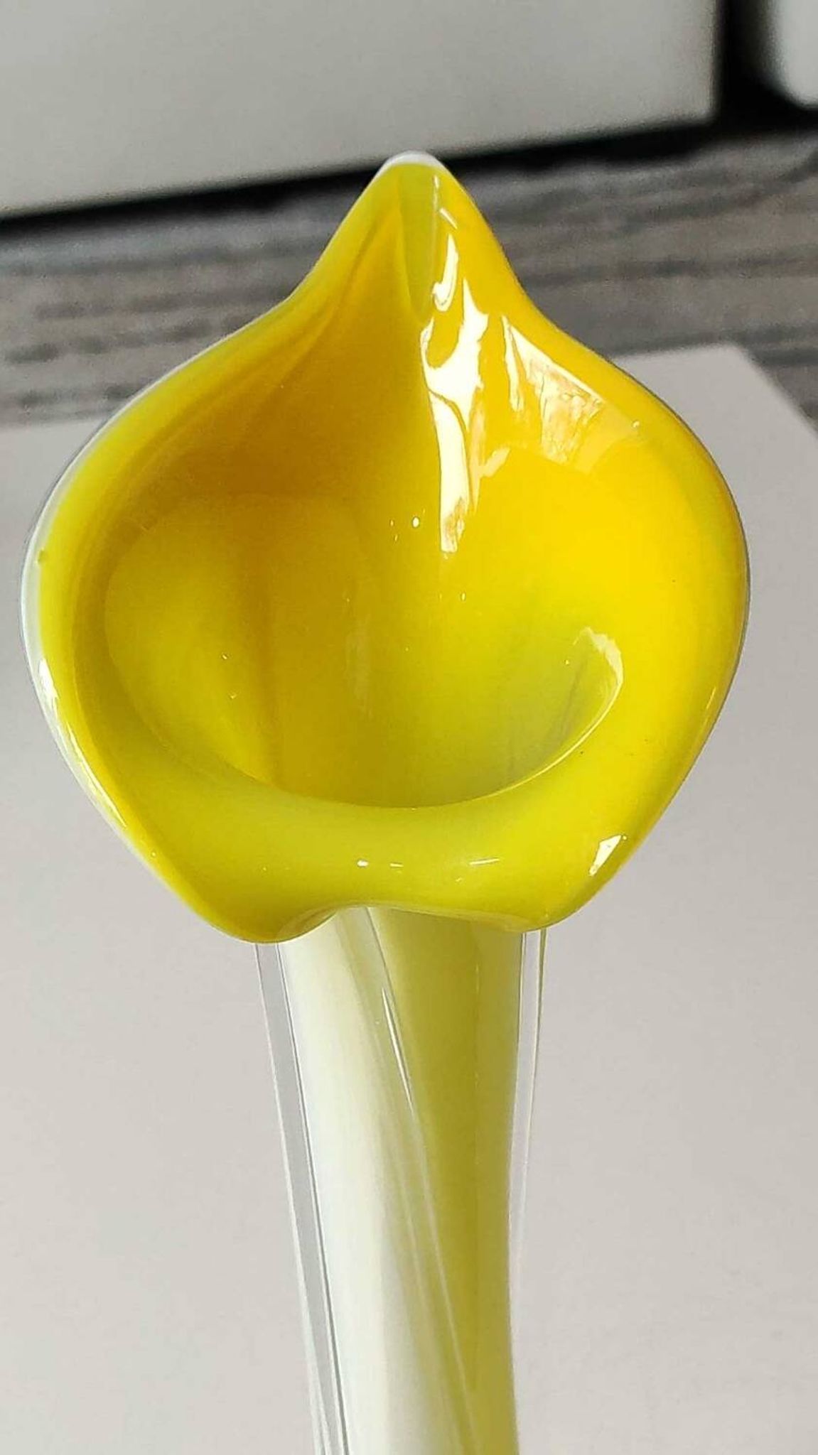 Vase Soliflore fleur d Arum/Jack in the Pulpit. Murano . Haut 30,5 cm