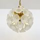 Floral Crystal Glass Chandelier by Ernst Palme