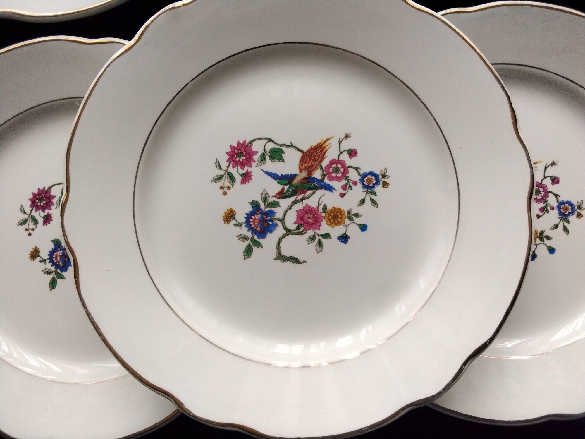 Set of 6 faience dessert plates digoin sarreguemines bird of paradise