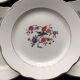 Set of 6 faience dessert plates digoin sarreguemines bird of paradise