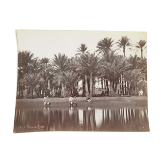 Photographie, tirage albuminé - Palmiers de Gyzeh, près du Caire, Egypte, Pascal Sébah (1823-1886)