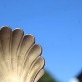 Vintage brass shell tray