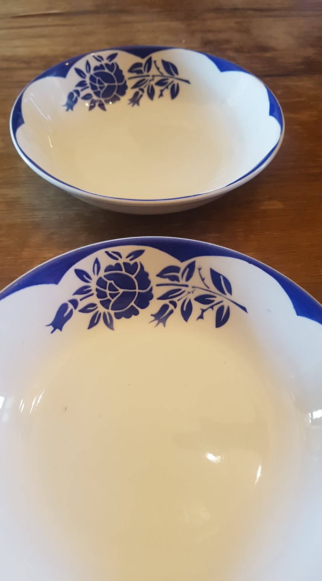 Set of 2 plates digoin sarreguemines model corsica