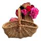 Small picking basket