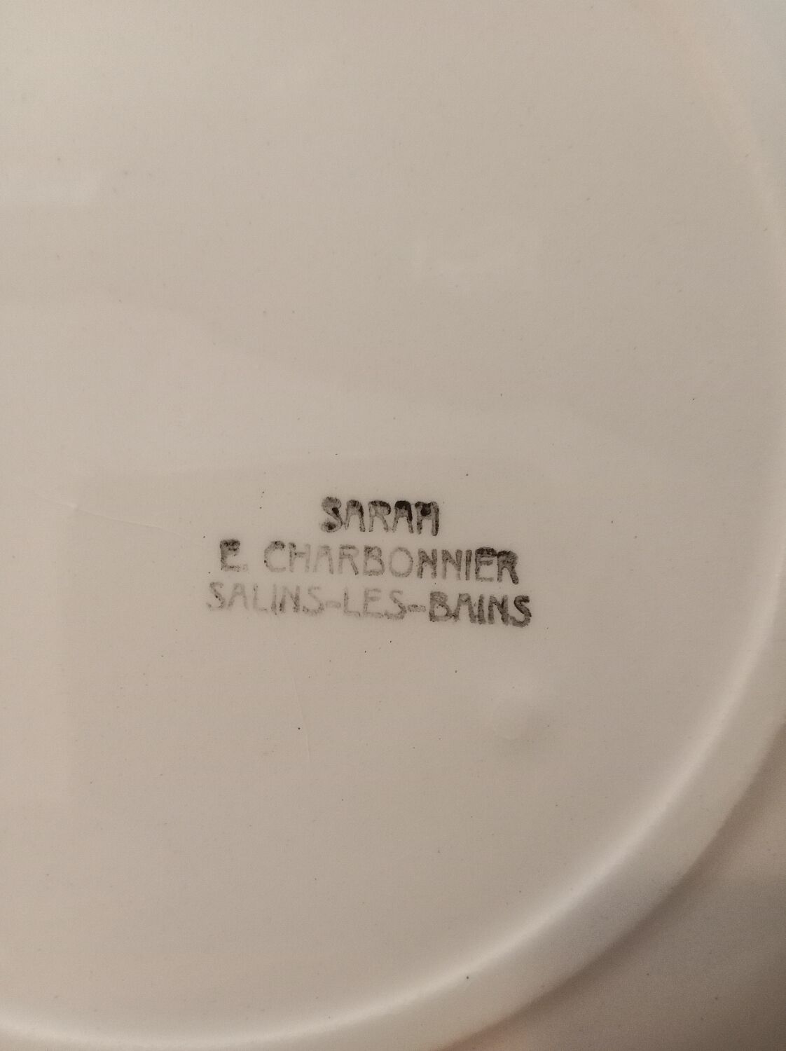 12 flat plates salins-les-bains