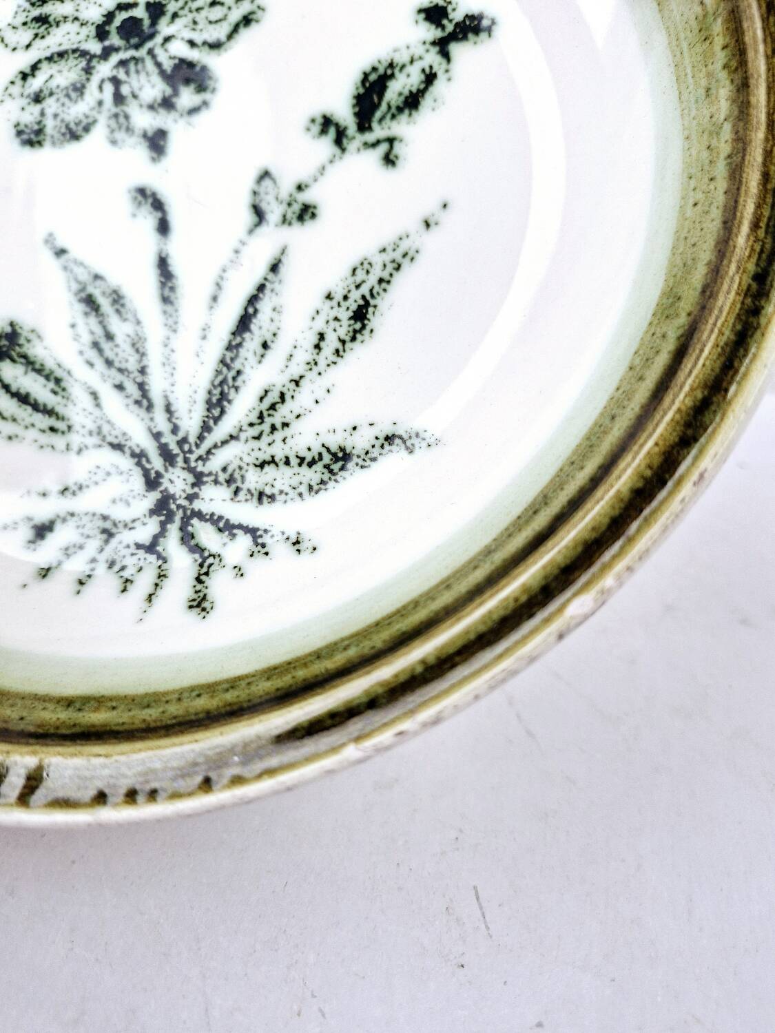 8 vintage hollow plates earthenware Gien model Herbiers table arts France