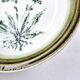 8 vintage hollow plates earthenware Gien model Herbiers table arts France