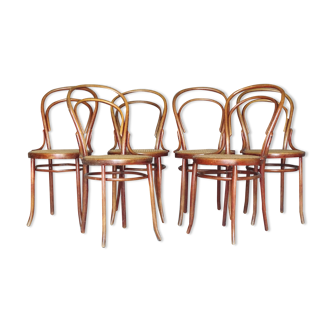 6 bistro chairs N° 14 canned, by Turpe Dresden 1890
