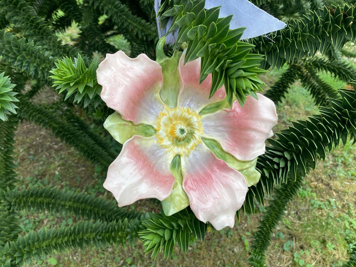 Large clematis slip pocket emptier