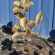 Vintage Brass Flower Floor Lamp - Hollywood Regency Style 1960s/1970s