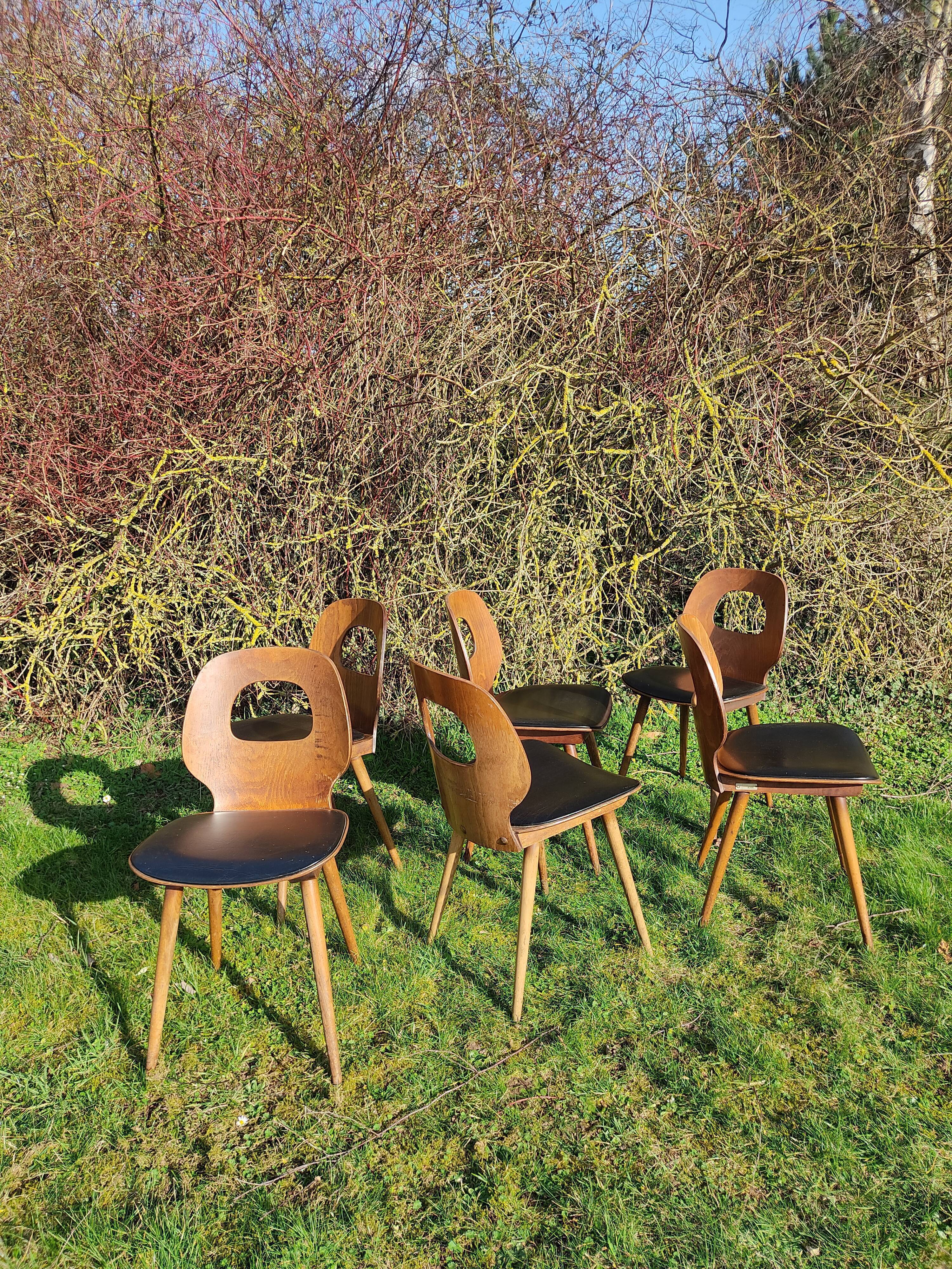 Baumann X6 chairs, Ant model
