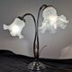 Double lamp gooseneck tulip glass paste decoration reeds