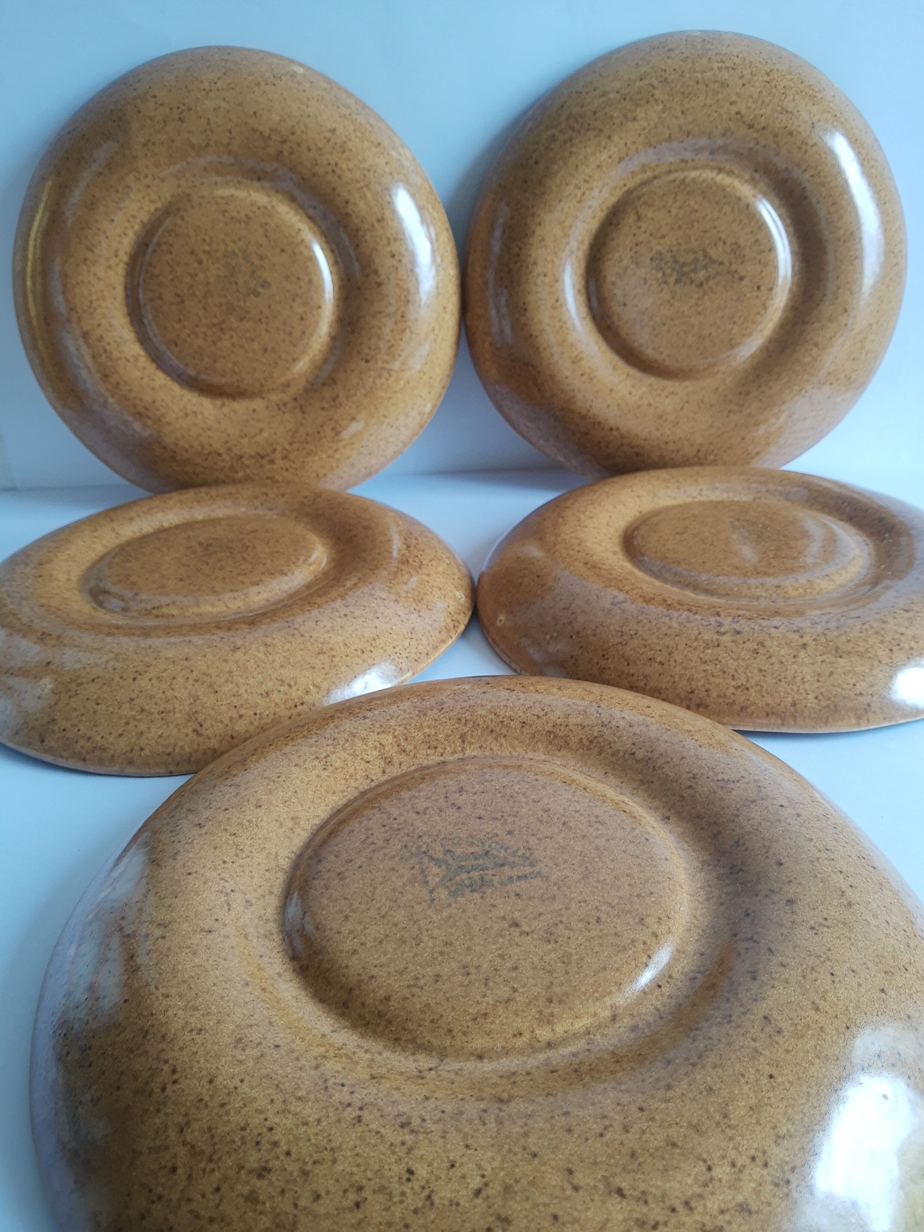 Set of 5 plates with compartments in vintage Longchamp sandstone