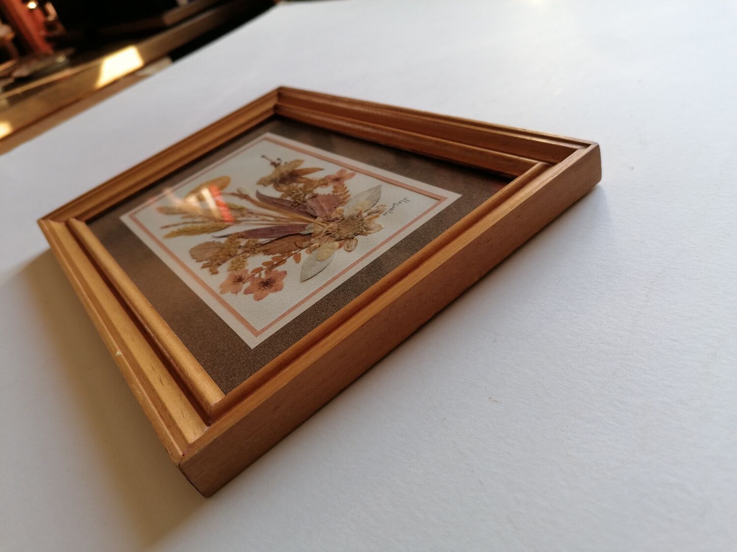 Authentic herbarium signed